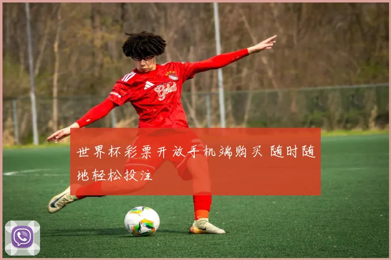 世界杯彩票开放手机端购买 随时随地轻松投注