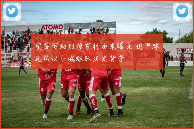 霍芬海姆别称霍村由来曝光 德甲球迷热议小城球队历史背景