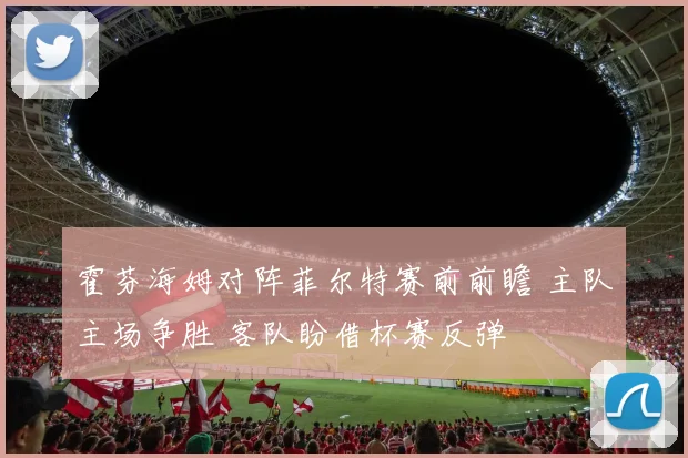 霍芬海姆对阵菲尔特赛前前瞻 主队主场争胜 客队盼借杯赛反弹