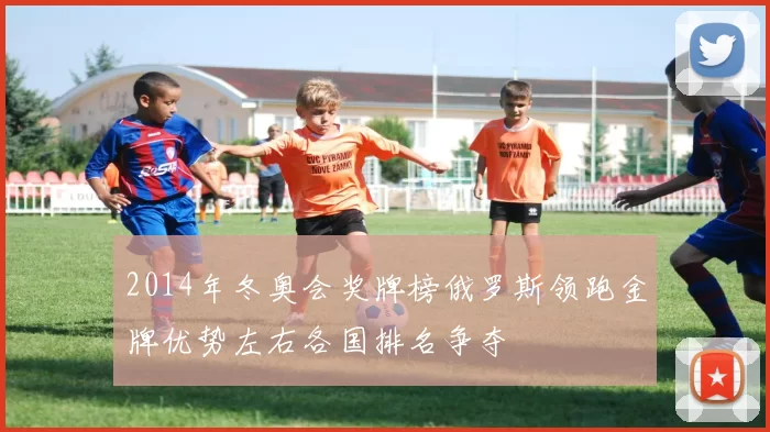 2014年冬奥会奖牌榜俄罗斯领跑金牌优势左右各国排名争夺