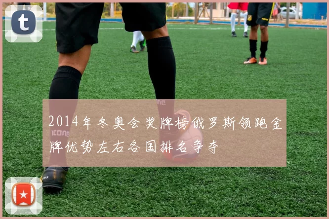 2014年冬奥会奖牌榜俄罗斯领跑金牌优势左右各国排名争夺