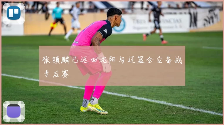 张镇麟已返回沈阳与辽篮会合备战季后赛