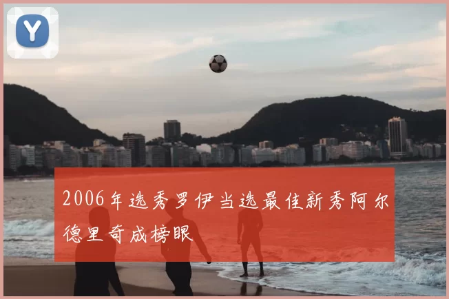 2006年选秀罗伊当选最佳新秀阿尔德里奇成榜眼