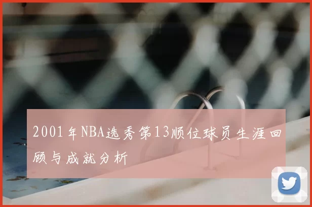 2001年NBA选秀第13顺位球员生涯回顾与成就分析
